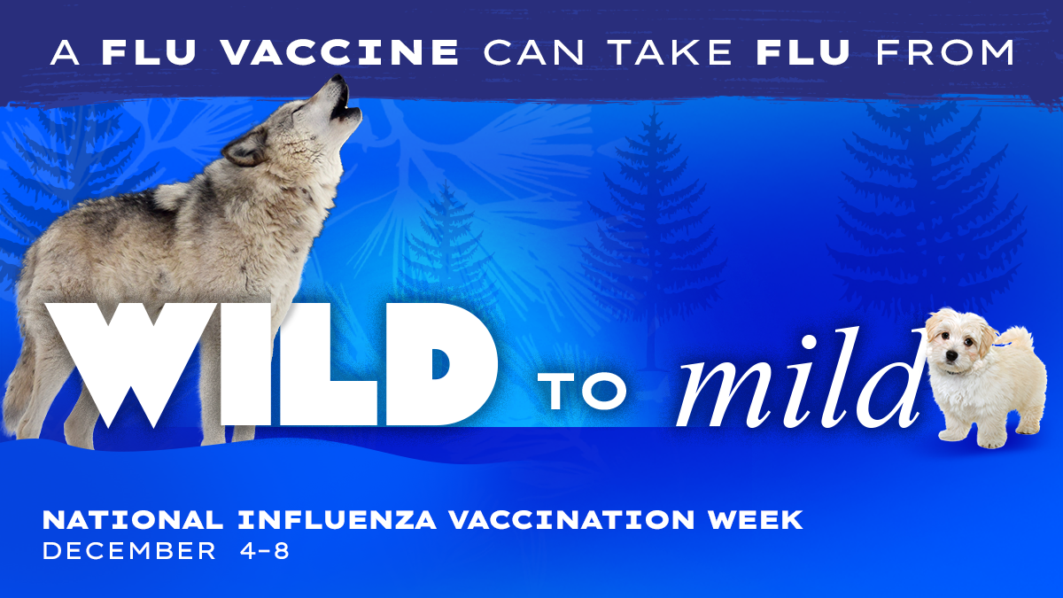 Flu_week_blue_rectangle_wild_to_mild_2024.jpeg